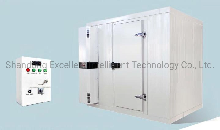 Stainless Steel Solar Commercial Ice Cream Storage Cold Room