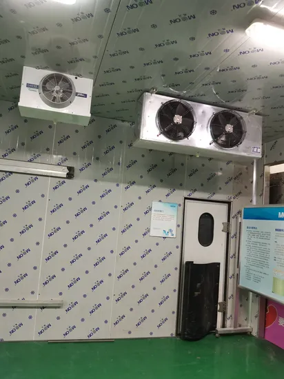 100mm Cold Room Walk in Cooler/Freezer PU PIR Sandwich Panel 