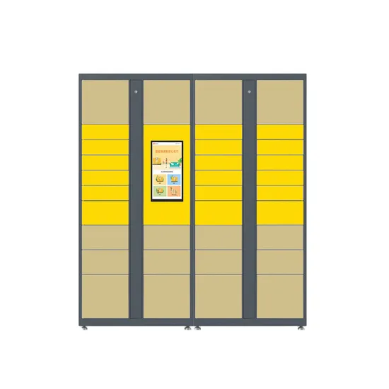 Custom Smart Parcel Delivery Locker with Stainless Latch and OEM Design 