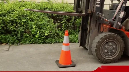 50cm 20