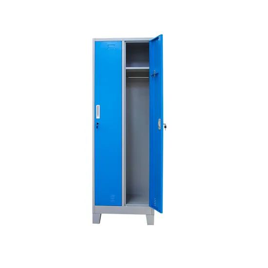 Double Door Metal Wardrobe Locker 2 Door Employee Storage Cabinet Staff Gym Steel Locker 