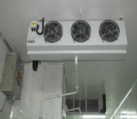 Cold Room Walk in Freezer Cooler Hinged Meat Chicken Cold Room 
